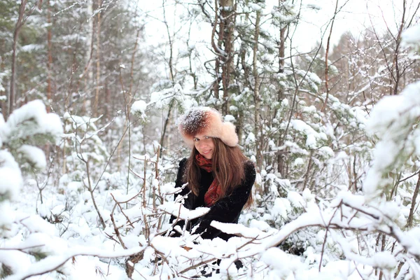 In the winter forest — Stock Photo, Image