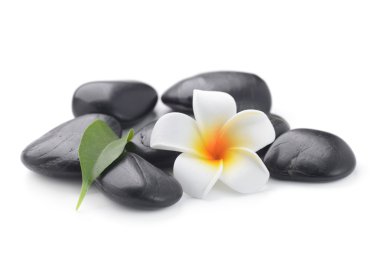 Zen bazalt taş ve Frangipani