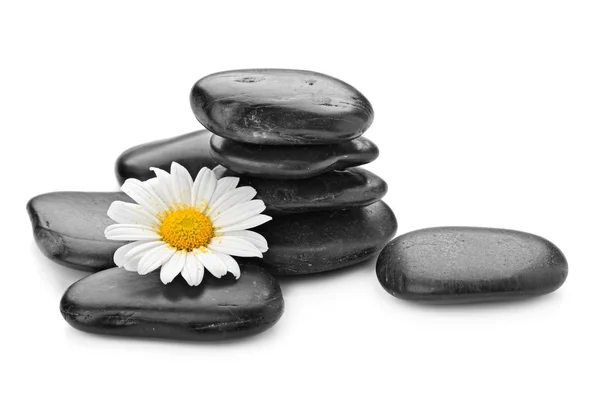 Zen v mýdle a daisy — Stock fotografie
