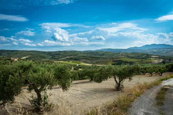 Crète, Grèce Images De Stock Libres De Droits