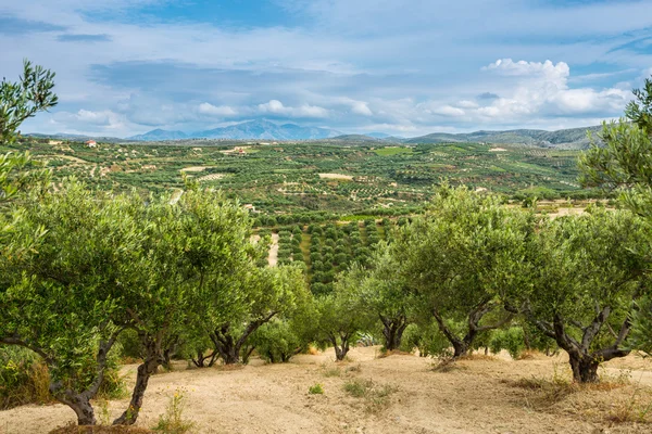 Κρήτη, Ελλάδα — Φωτογραφία Αρχείου