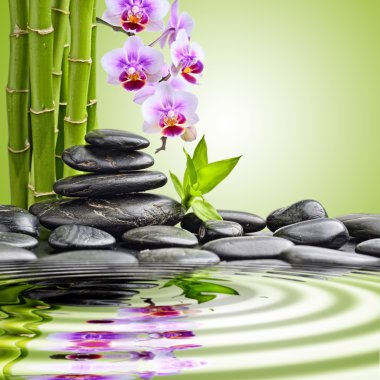 Zen taşlar