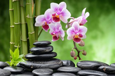 Zen taşlar