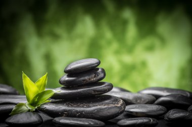 Zen taşlar