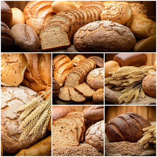 The Bread — Stock Photo, Image