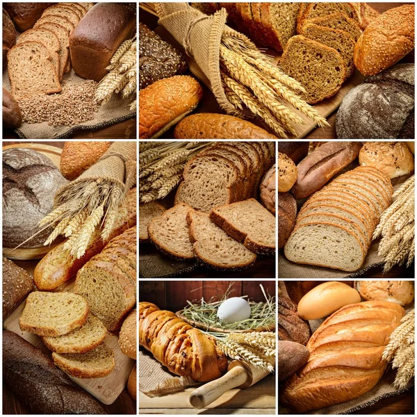 The Bread — Stock Photo, Image