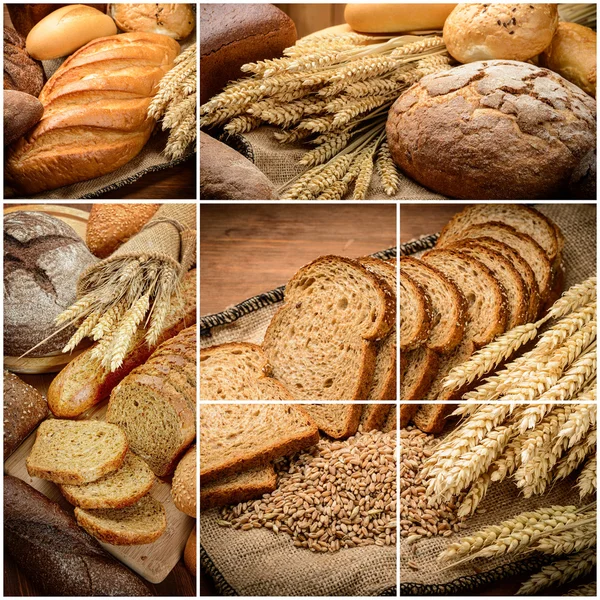 The Bread — Stock Photo, Image