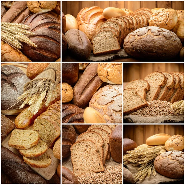 The Bread — Stock Photo, Image