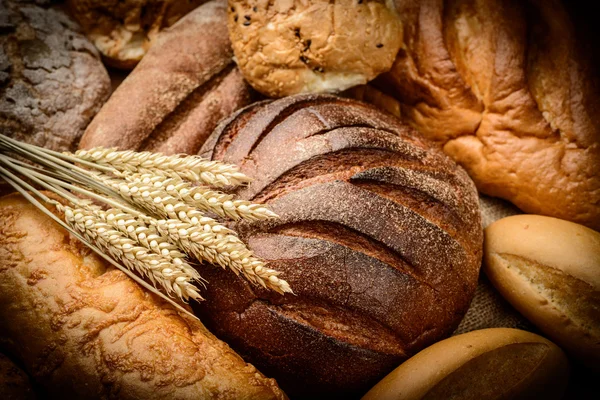 Het brood — Stockfoto