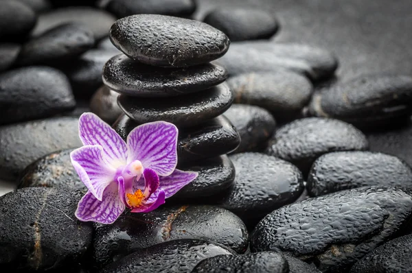 Zen stones Stock Picture