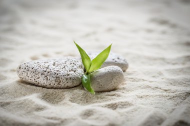zen taşlar