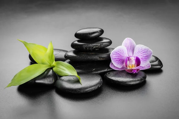 Spa concept met — Stockfoto