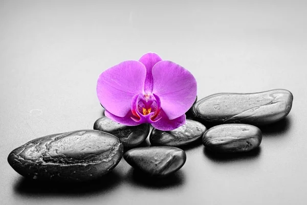 The zen stones — Stock Photo, Image