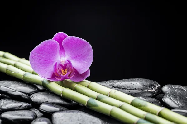 De zen-stenen — Stockfoto