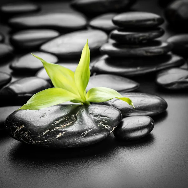 Die Zen-Steine — Stockfoto