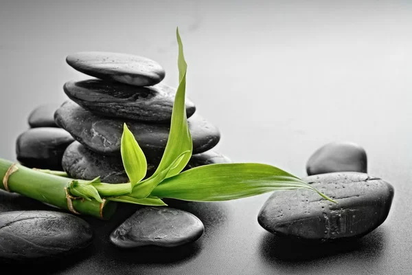 The zen stones — Stock Photo, Image