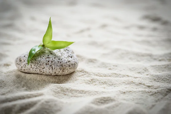 Die Zen-Steine — Stockfoto