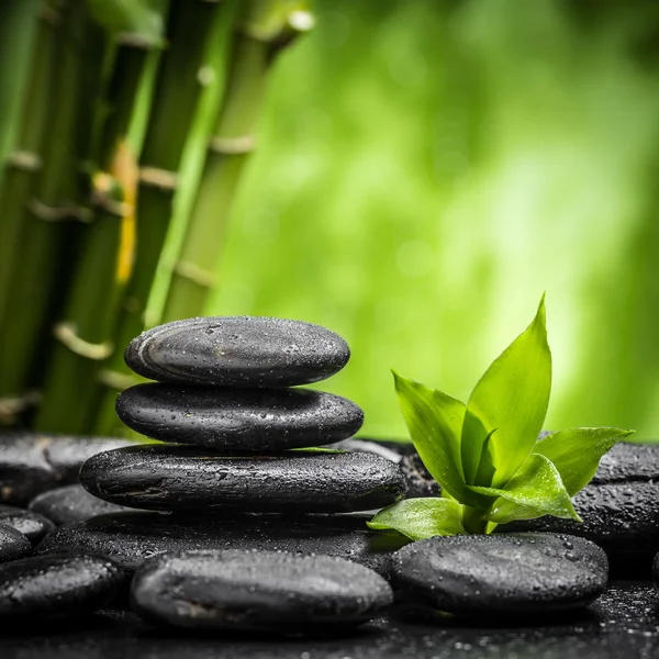 Die Zen-Steine — Stockfoto