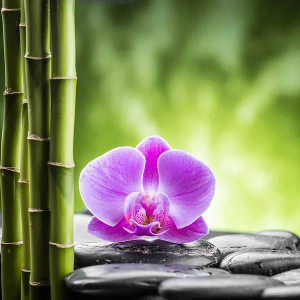 De zen-stenen Stockfoto