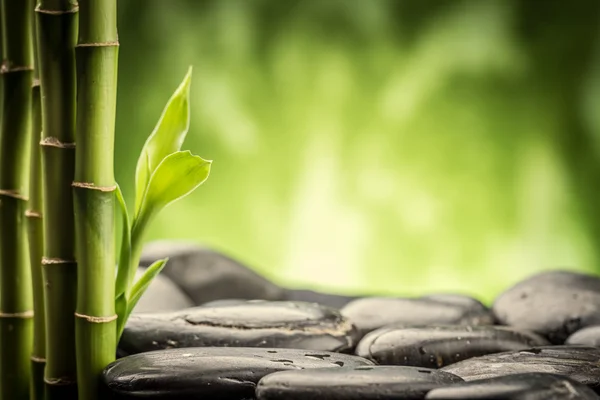 The zen stones — Stock Photo, Image