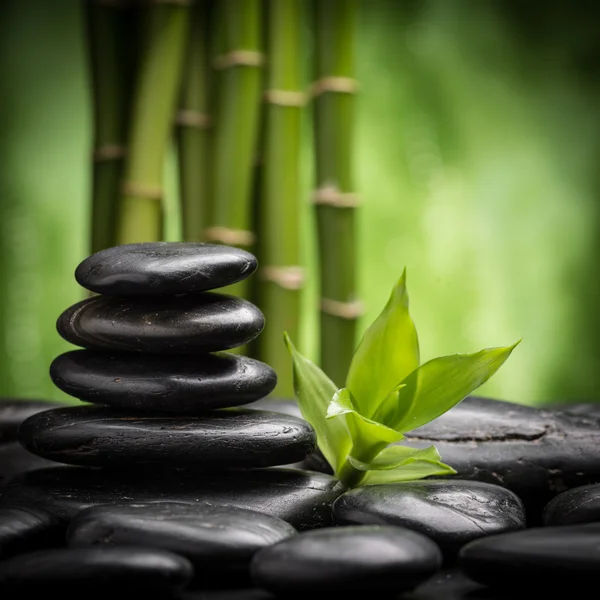 Die Zen-Steine Stockfoto