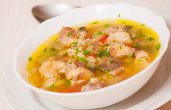 Sopa de frango com legumes e arroz — Fotografia de Stock