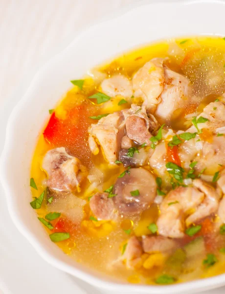 Куриный суп с овощами и рисом — стоковое фото