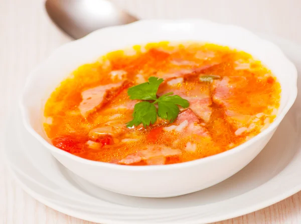 Soup with meat, rice and vegetables — Stock Image Soup with meat, rice and vegetables Royalty Free Stock Photos