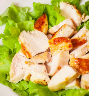 Taze salata tavuk göğsü ile