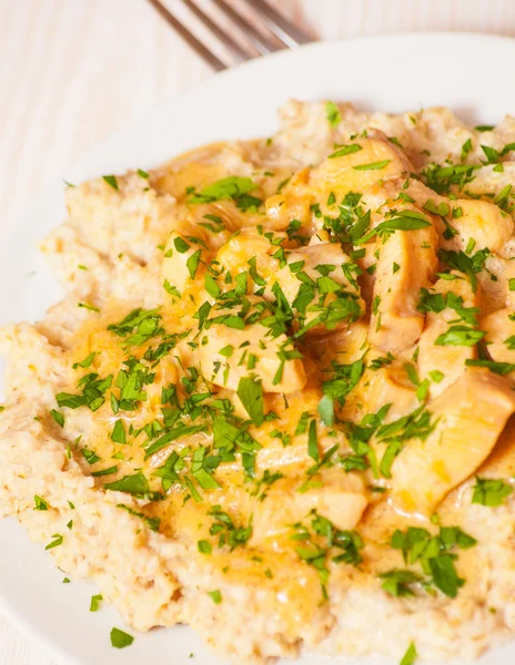 Chicken breast with sauce and oatmeal — Stock Photo, Image