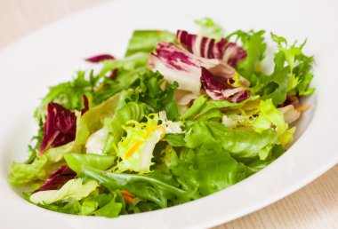 taze karışık salata yaprakları