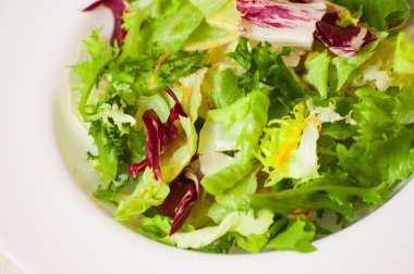 taze karışık salata yaprakları