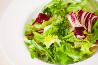 taze karışık salata yaprakları