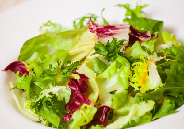 Friss vegyes salátával — Stock Fotó