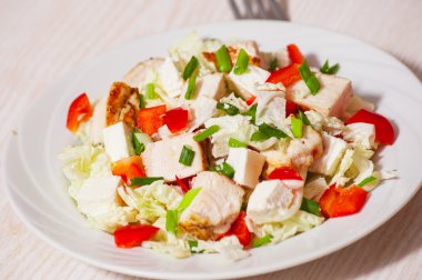 tavuk etli sebze salatası