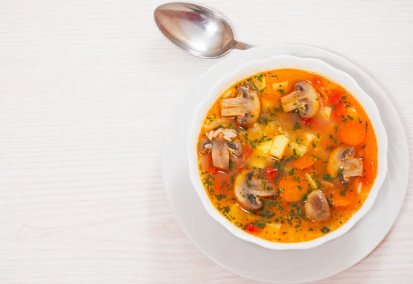 Zuppa di funghi con riso e verdure — Foto Stock