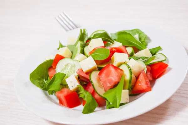 Salada fresca com tomate, rúcula, pepino e cubos de queijo — Fotografia de Stock