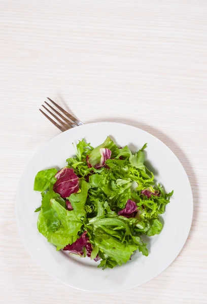 Fresh mixed salad leaves — Stock Photo, Image