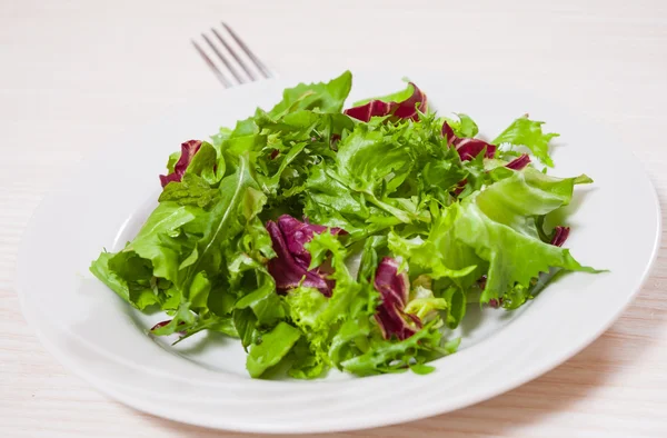 Färska blandade salladsblad — Stockfoto