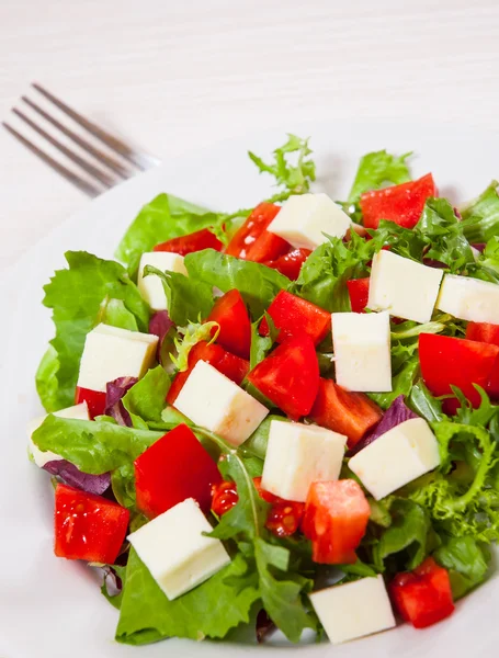 Салат зі свіжими овочами з сиром — стокове фото