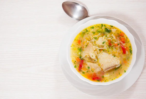 Fish soup with vegetables and rice — Stock Photo, Image