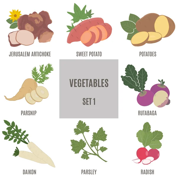 Verduras. Conjunto 1 — Archivo Imágenes Vectoriales