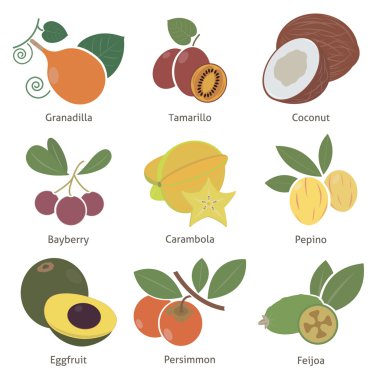 Meyveler ve meyveler