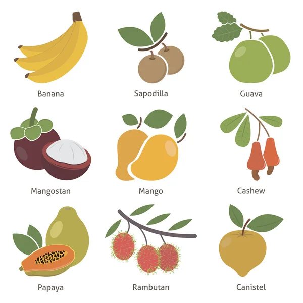 果実と果実 — ストックベクタ