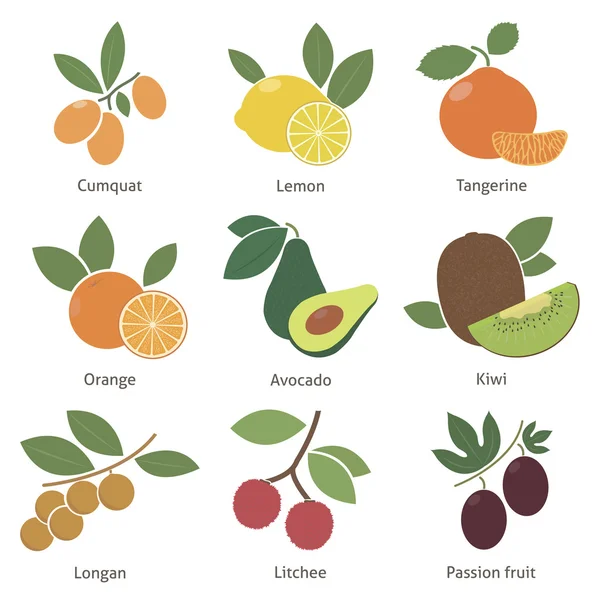 Owoce i owoce — Wektor stockowy