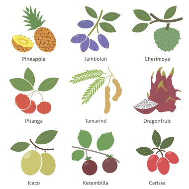 Fruits and berries clipart