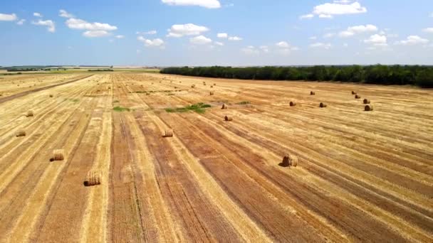 Vista aérea de las balas de heno en el campo agrícola — Vídeos de Stock