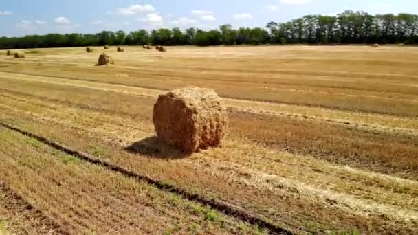 Vista aérea de las balas de heno en el campo agrícola — Vídeo de stock