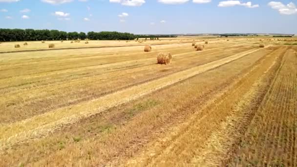 Vista aérea de las balas de heno en el campo agrícola — Vídeos de Stock