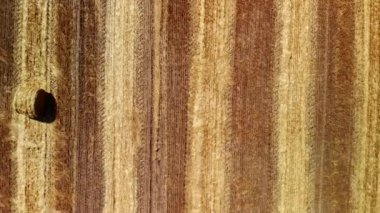 Tarım alanındaki saman balyalarının havadan görünüşü